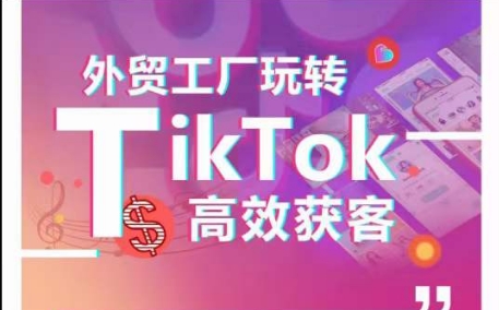 外贸工厂轻松玩TikTok高效率拓客，多种多样推广方式与内容创作方法，拆卸爆款短视频打造成功实例-网创e学堂