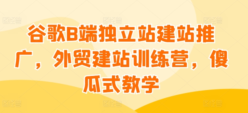 谷歌搜索B端独立站建站营销推广，外贸网站建设夏令营，简单化课堂教学-网创e学堂