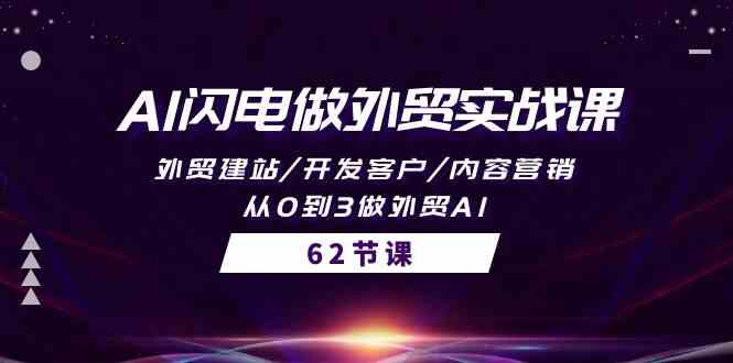 AI雷电做跨境电商实战演练课，外贸网站建设/寻找客户/内容运营/从0到3做跨境电商AI（61节）-网创e学堂