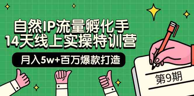 当然IP总流量卵化手14无线天线上实际操作夏令营【第9期】月入5w 上百万爆款打造 (74节)-网创e学堂