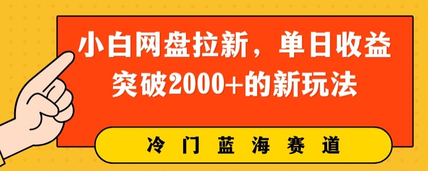 小白网盘引流，单日盈利提升2000 的新玩法-网创e学堂