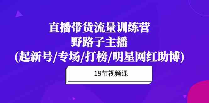 直播带货流量特训营，野路子主播(起新号/专场/打榜/明星网红助博)-网创e学堂