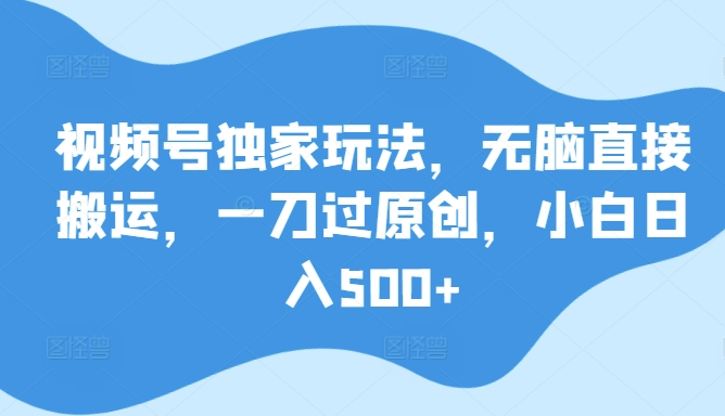 视频号独家玩法，无脑直接搬运，一刀过原创，小白日入500+-网创e学堂