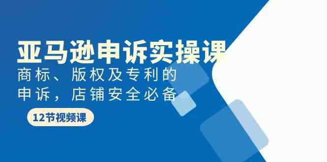 亚马逊申诉实战课，商标、版权及专利的申诉，店铺安全必备-网创e学堂