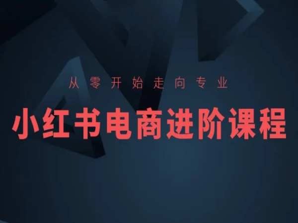 从零开始迈向技术专业，小红书电商升阶课程内容-网创e学堂