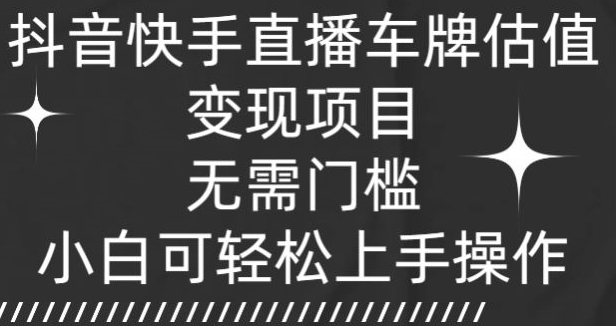 抖音和快手直播间车牌号公司估值转现新项目，不用门坎，小白可快速上手实际操作-网创e学堂