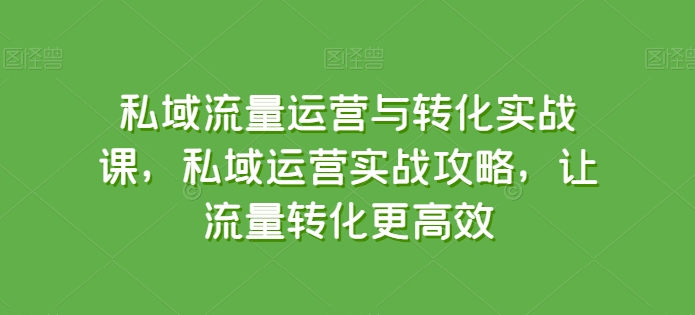 私域流量运营与转化实战课，私域运营实战攻略，让流量转化更高效-网创e学堂