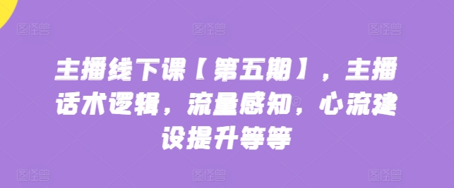 网络主播面授课【第五期】，主播话术逻辑性，总流量认知，心流基本建设提高等-网创e学堂