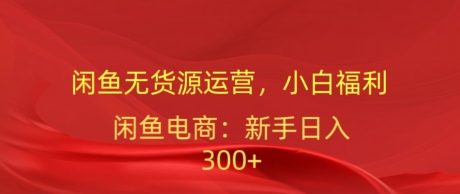 闲鱼平台无货源电商经营，新手褔利，日入300加-网创e学堂