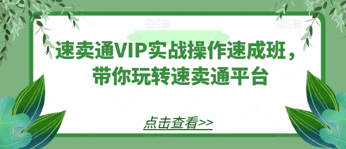 全球速卖通VIP实战操作短期培训班，带你玩转速卖通平台-网创e学堂