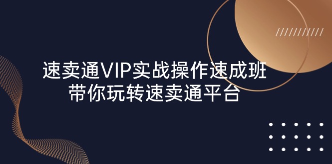 （10935期）速卖通 VIP实战操作-速成班，带你玩转速卖通平台（23节）-网创e学堂