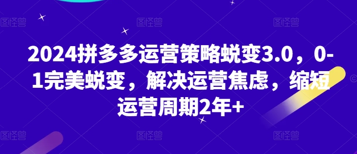 2024拼多多运营对策成长3.0，0-1华丽蜕变，处理经营焦虑情绪，减少运营周期2年-网创e学堂