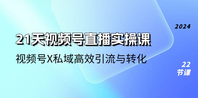 21天视频号直播实操课，视频号X私域高效引流与转化（22节课）-网创e学堂