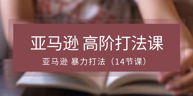 亚马逊高阶打法课，亚马逊暴力打法（14节视频课）-网创e学堂