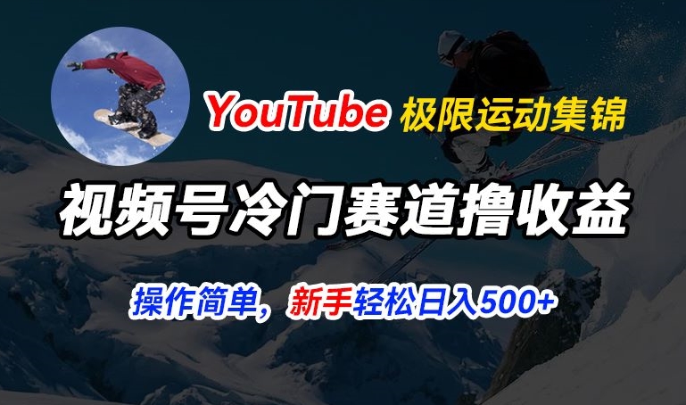 微信视频号小众跑道撸盈利，YouTube运送滑雪运动合集，暴力行为养号，使用方便总流量高，轻轻松松日入5张【揭密】-网创e学堂