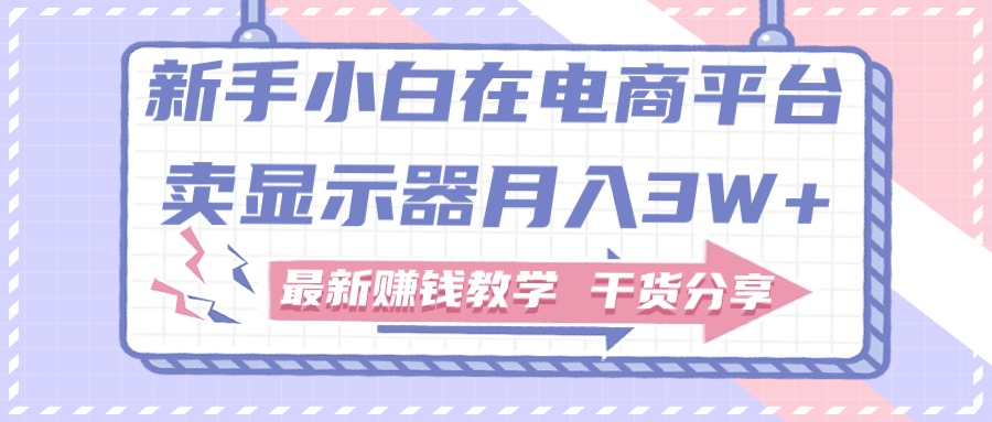 （11053期）新手入门怎样做到在电商平台卖显示屏月入3W ，最新赚钱课堂教学满满干货-网创e学堂