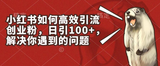 小红书的如何有效引流方法自主创业粉，日引100 ，解决你遇到的困难【揭密】-网创e学堂