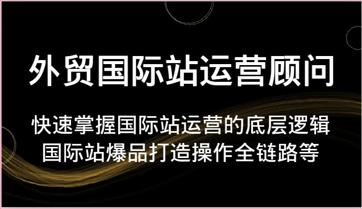 外贸国际站运营顾问-快速掌握国际站运营的底层逻辑，国际站爆品打造操作全链路等-网创e学堂