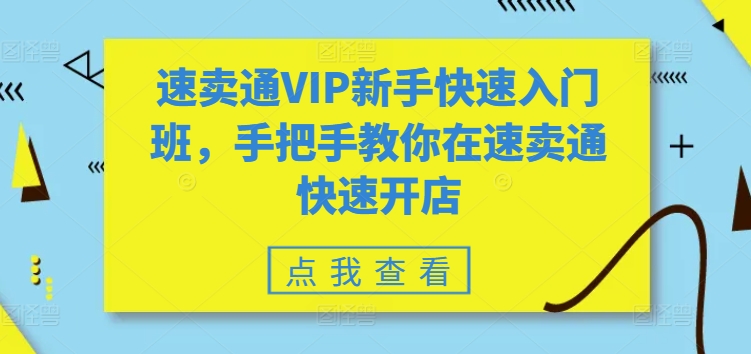 全球速卖通VIP初学者快速上手班，教你如何在全球速卖通迅速开实体店-网创e学堂