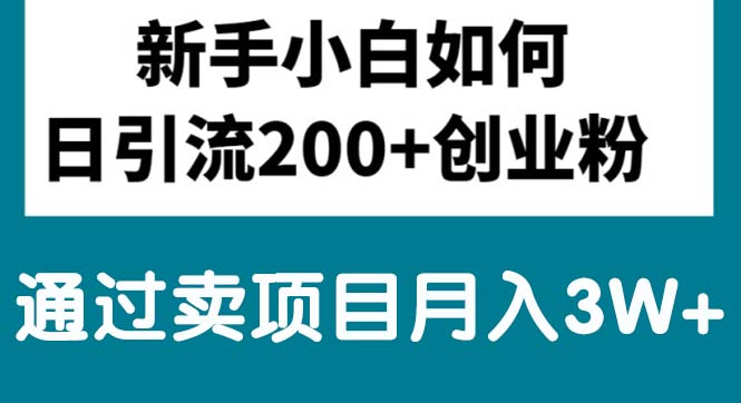 （10843期）新手入门日引流方法200 自主创业粉,根据卖项目月入3W-网创e学堂