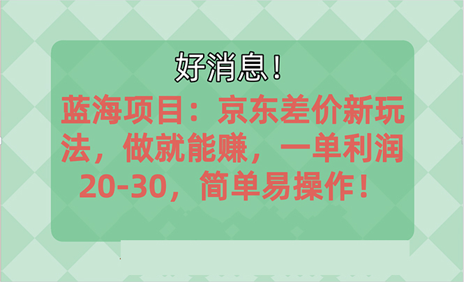 （10989期）越快了解越有钱赚的蓝海项目：京东大平台操作，一单利润20-30，简易…-网创e学堂