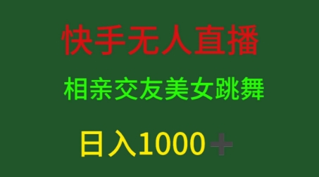 快手视频无人直播，单身交友，粉丝转现，日入1k-网创e学堂