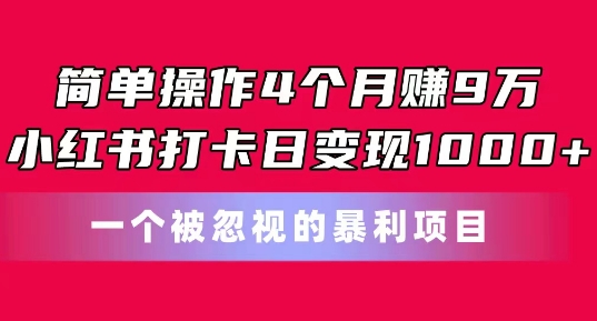 易操作4个月赚9w，小红书的打卡签到日转现1k，一个被忽略的暴力新项目【揭密】-网创e学堂