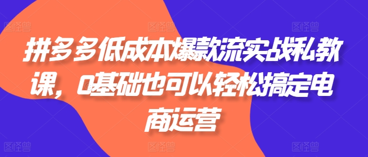 拼多多平台降低成本爆品流实战演练私教，0基本还可以轻松解决网店运营-网创e学堂