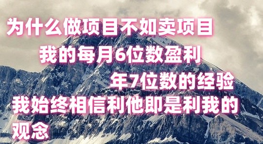 做项目不如卖项目，每月6位数盈利，年7位数经验-网创e学堂