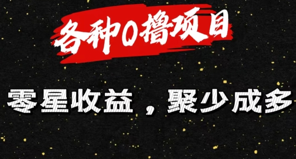 各种各样0撸新项目零星盈利，聚少成多-网创e学堂