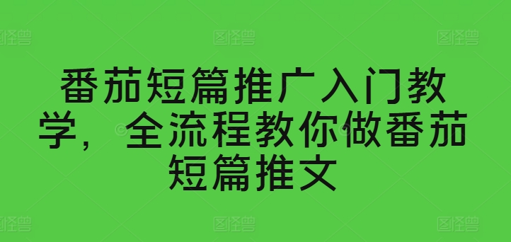 西红柿短篇小说营销推广新手入门课堂教学，全过程手把手带你西红柿短篇小说文章-网创e学堂