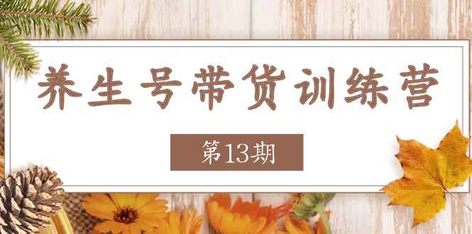 健康养生号卖货夏令营【第13期】盈利更稳定的游戏玩法，使你卖货盈利发生爆炸-中创网_分享中赚网创业资讯_最新网络项目资源-网创e学堂