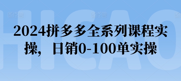 2024拼多多平台全主题课程实际操作，日销0-100单实际操作【必读】-网创e学堂