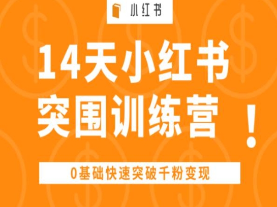 14天小红书的突出重围夏令营 ，0基本快速突破千粉转现-网创e学堂