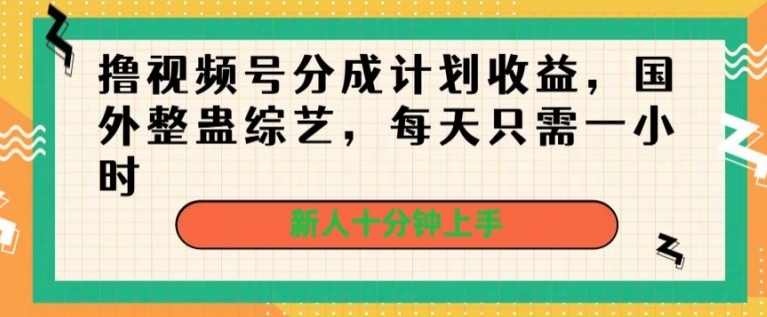 撸视频号分成计划收益，国外整蛊综艺，每天只需一小时，新人十分钟上手-网创e学堂