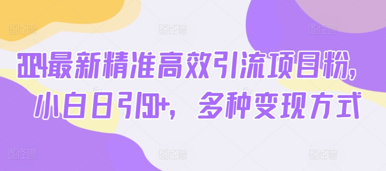 2024全新高效便捷引流项目粉，新手日引50 ，多种多样变现模式-网创e学堂