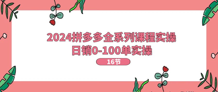 （11222期）2024拼多多全系列课程实操，日销0-100单实操【16节课】-网创e学堂