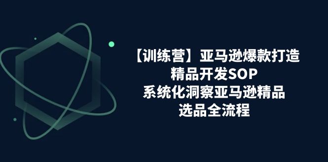 （11210期）【训练营】亚马逊爆款打造之精品开发SOP，系统化洞察亚马逊精品选品全流程-网创e学堂