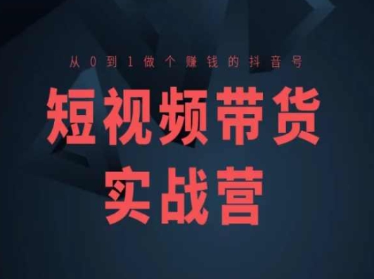 短视频卖货实战营(高级课)，从0到1做一个挣钱的抖音帐号-网创e学堂