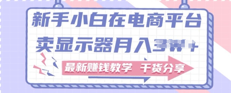 新手入门怎样做到在电商平台卖显示屏，最新赚钱课堂教学满满干货-网创e学堂