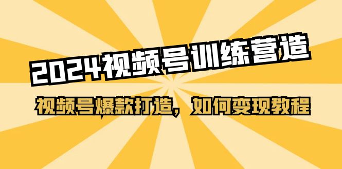 （11135期）2024视频号训练营，视频号爆款打造，如何变现教程（20节课）-网创e学堂