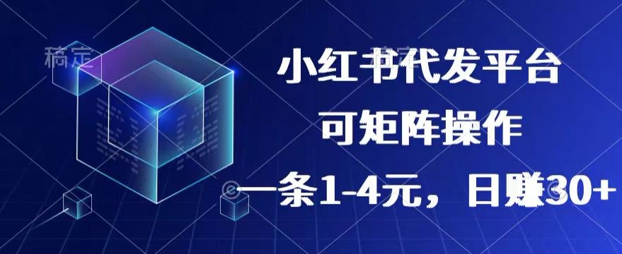 【小红书的 抖音视频】代发平台，一条1~4元，日赚30 的可靠小程序，可引流矩阵实际操作-网创e学堂