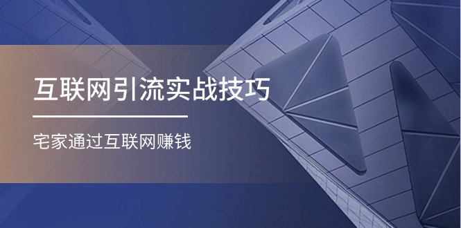 （11108期）互联网引流实操技巧(适合微商，吸引宝妈)，宅家通过互联网赚钱（17节）-网创e学堂