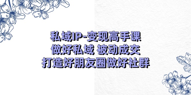 （11209期）私域IP-变现高手课：做好私域 被动成交，打造好朋友圈做好社群（18节）-网创e学堂