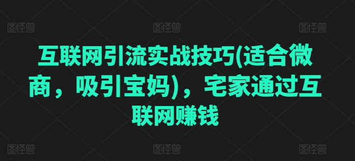 互联网引流实战经验(适宜微商代理，吸引住宝妈妈)，蹲在家里根据网络赚钱-网创e学堂