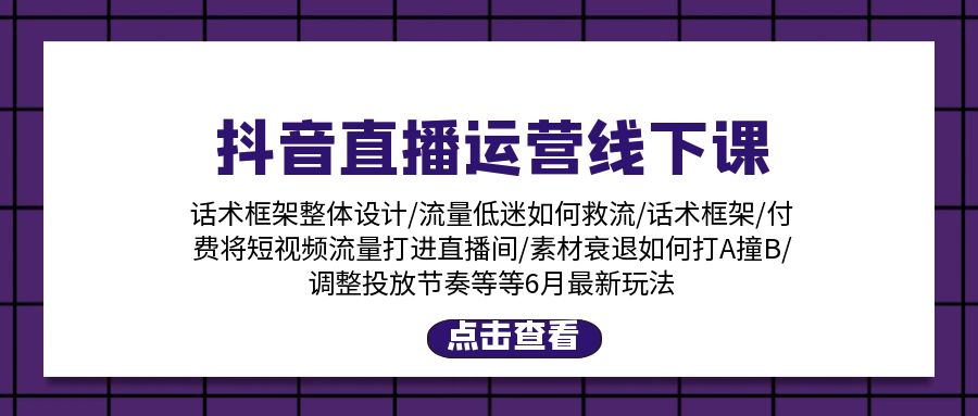 （11211期）抖音直播运营线下课：话术框架/付费流量直播间/素材A撞B/等6月新玩法-网创e学堂