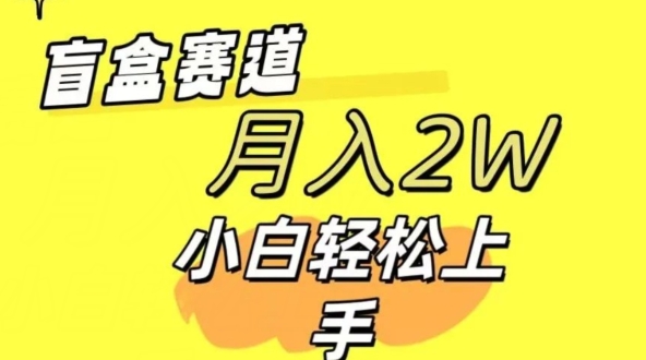 2024交友盲盒 同城网搭子群新项目全新游戏玩法运单号日入多张 可大批量-网创e学堂