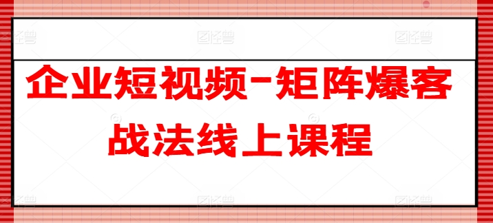 企业短视频-引流矩阵爆客战术在线课程-中创网_分享中赚网创业资讯_最新网络项目资源-网创e学堂