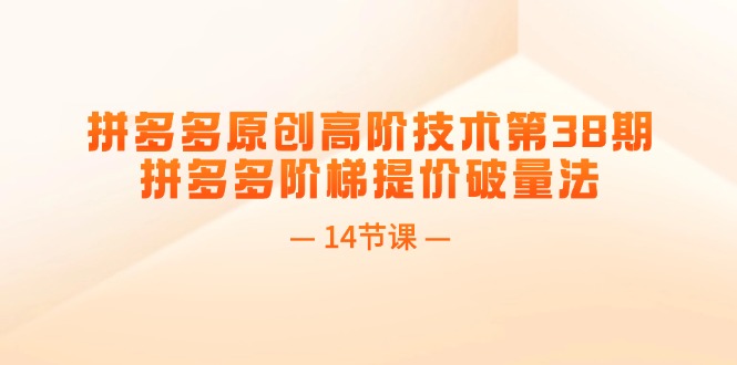 拼多多平台原创设计高级技术性第38期，拼多多平台台阶涨价破量法（14堂课）-中创网_分享中创网创业资讯_最新网络项目资源-网创e学堂