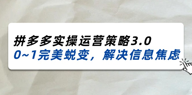 （11658期）2024_2025拼多多平台实际操作运营战略3.0，0~1华丽蜕变，处理信息焦虑（38节）-中创网_分享中创网创业资讯_最新网络项目资源-网创e学堂